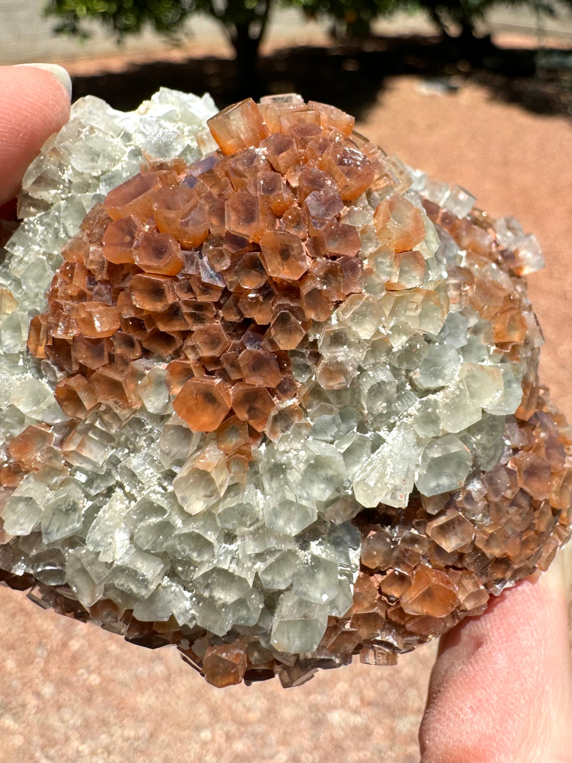 Detail of a vibrant red-brown section of the piece ringed with white crystals. A hexagonal growth form is visible within some of the crystals. Small white crystals are sprinkled across the surface.