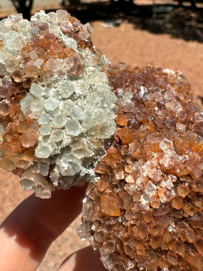 A detail view of the transition between white and red-brown colors, distinct in areas, with other crystals part red-brown and part white. Crystals have good pseudo-hexagonal form with some flattened hexagons that appear diamond-shaped.