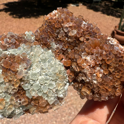 Detail of two spherical areas of the piece side-by-side, red-brown on the right and white on the left and sprinkled with small white minerals. The crystals have good translucency and luster