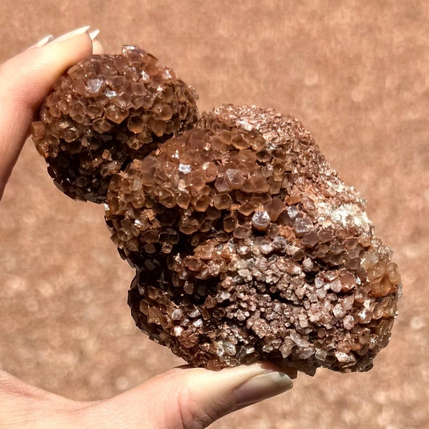 A lumpy sputnik aragonite with a large sphere of radial growth on the top. The piece is covered with even well-formed red-brown crystals with good translucency and depth of color. The is a patch of broken crystals near the bottom.