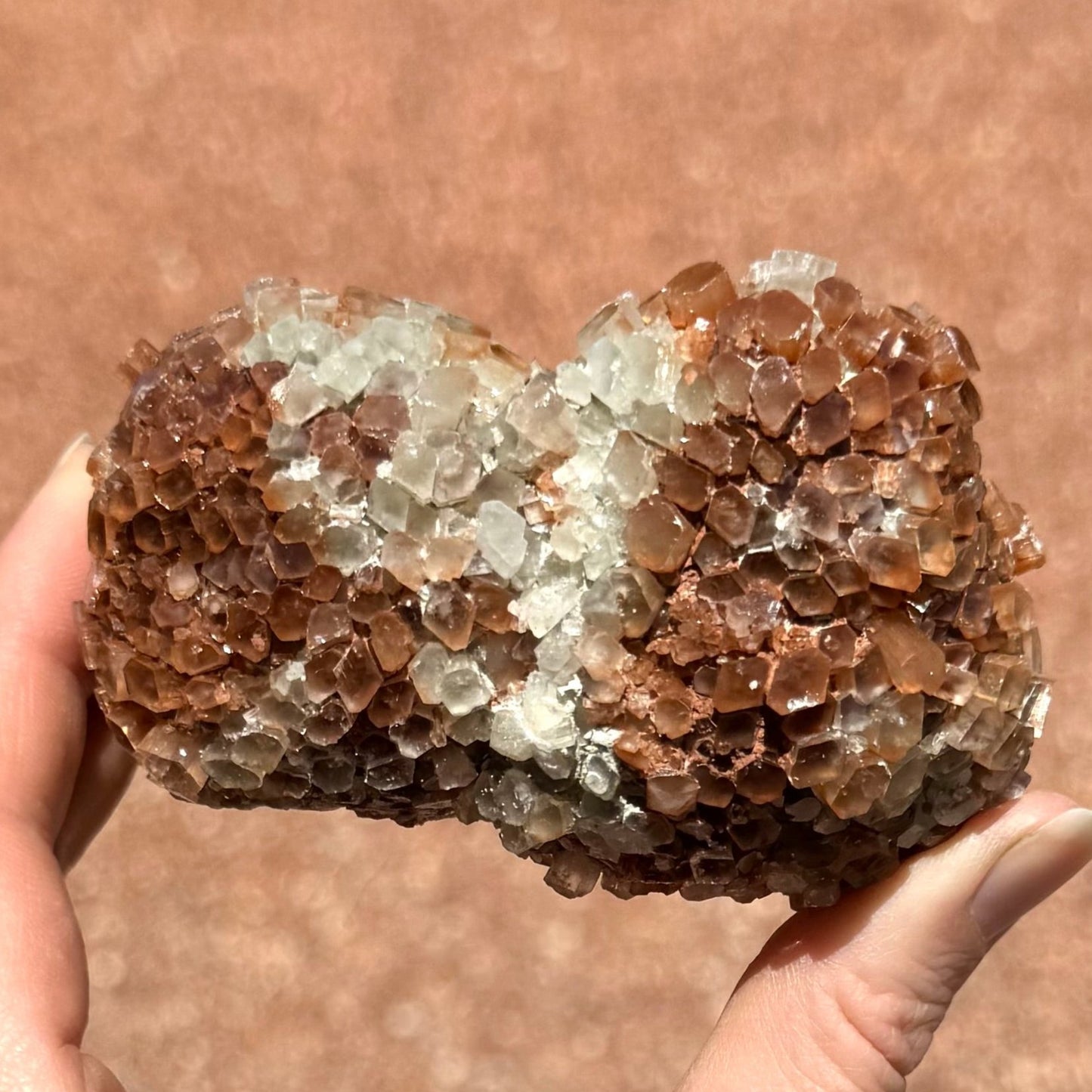 A sputnik aragonite made of two large spheres composed of tight radial growth. The crystals have good size but are fairly short, covering the piece like tiles. The piece is mostly red-brown with a section of white crystals in the middle, between the two spheres.