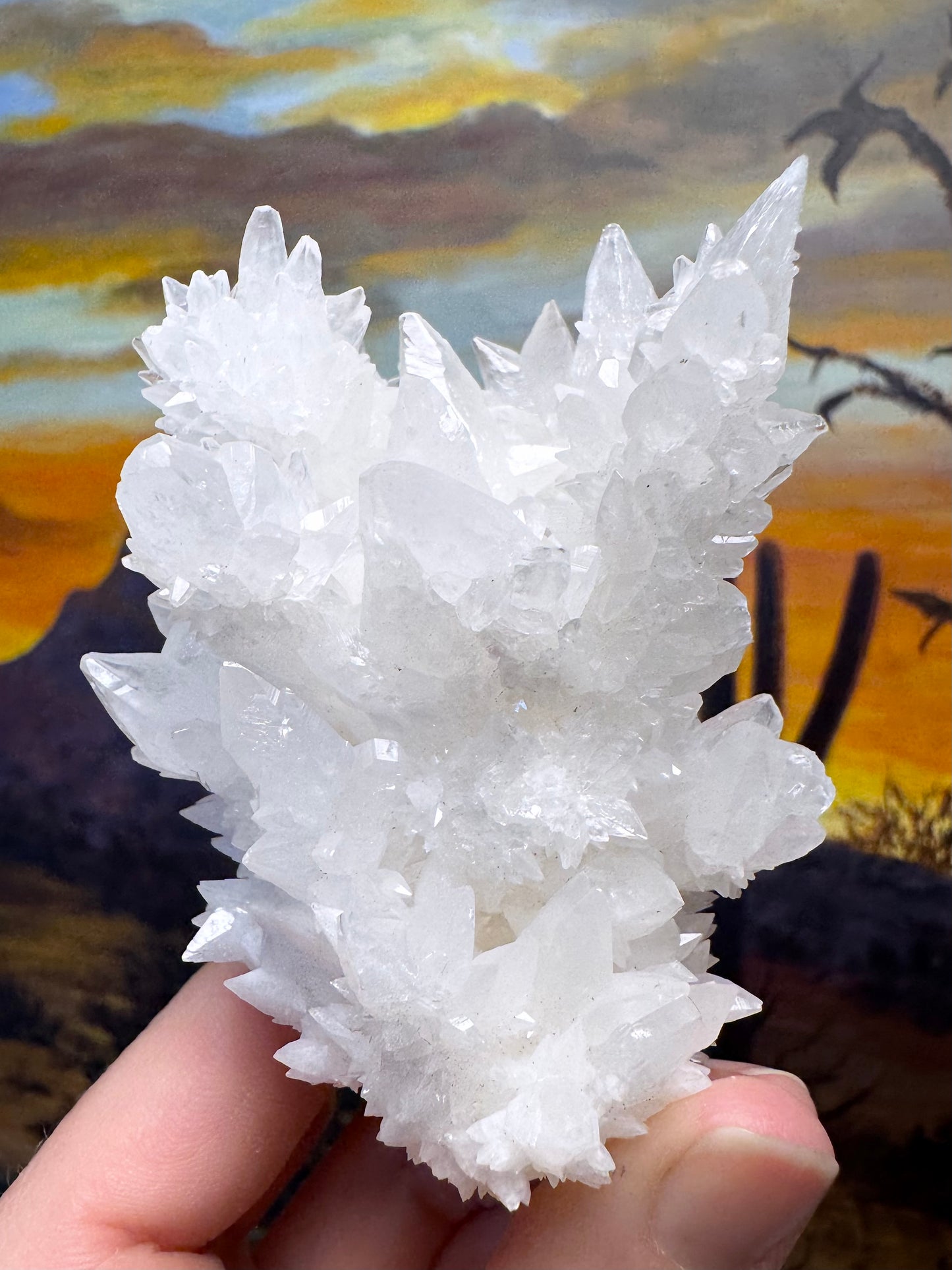 Aragonite stalactite "cave calcite," Santa Eulalia (medium)