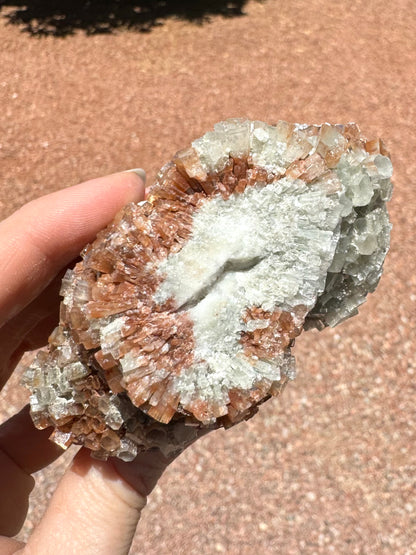 The broken base of the crystal, a flat break showing the radial growth of the red and white aragonite crystals out from the center.