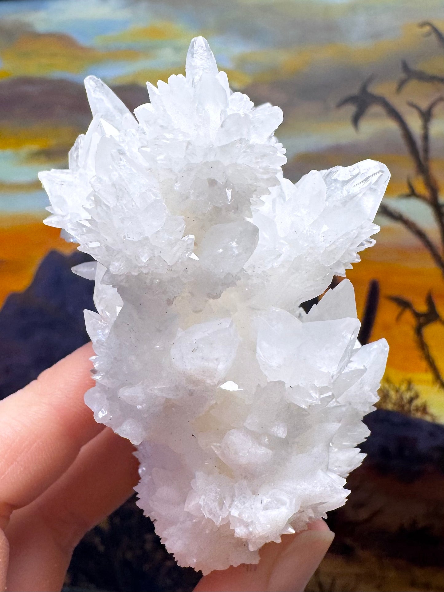 Aragonite stalactite "cave calcite," Santa Eulalia (medium)