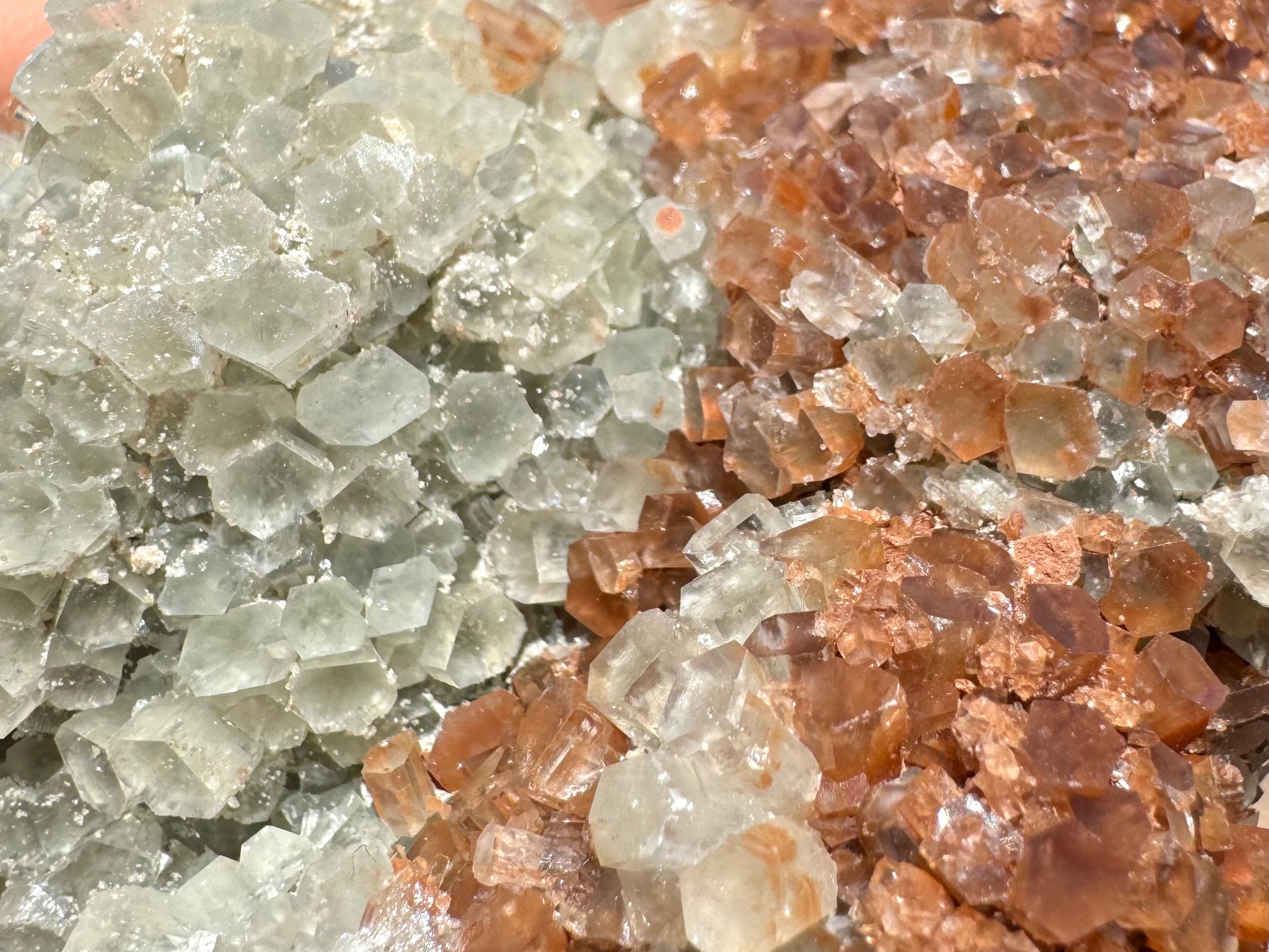 A detail view of the surface showing well-formed pseudo-hexagonal crystals, many flattened like a diamond shape. Half the crystals are white and half red, with  distinct division of colors. There are some small white and red opaque minerals spotting the piece between crystals.