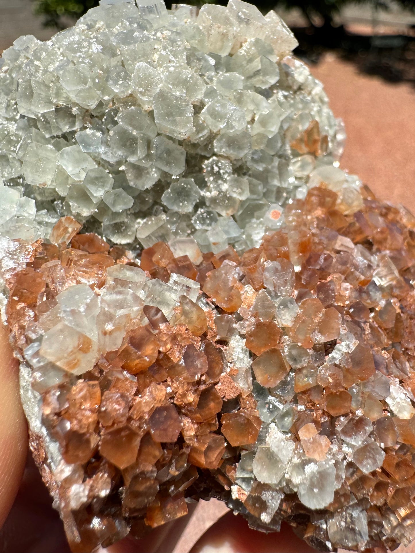 Detail view of a rounded portion of well-formed even white crystals, with more irregular crystals in red-brown in the foreground. White and red opaque mineral dots the surface and between crystals.