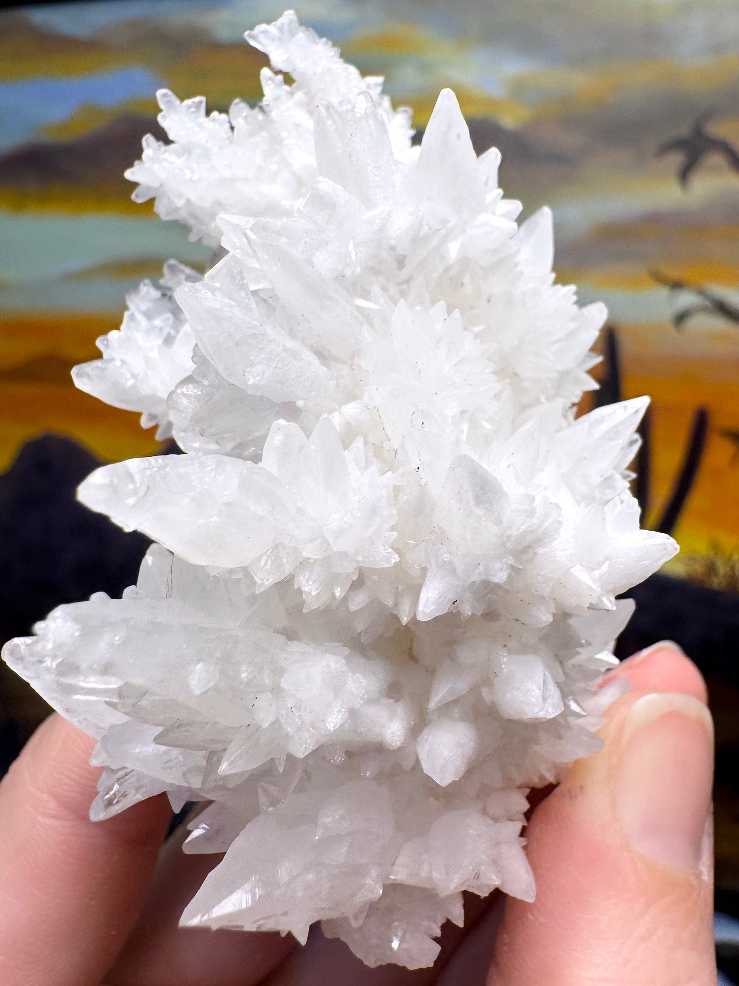 Aragonite stalactite "cave calcite," Santa Eulalia (medium)