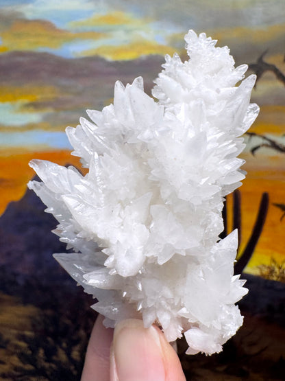 Aragonite stalactite "cave calcite," Santa Eulalia (medium)