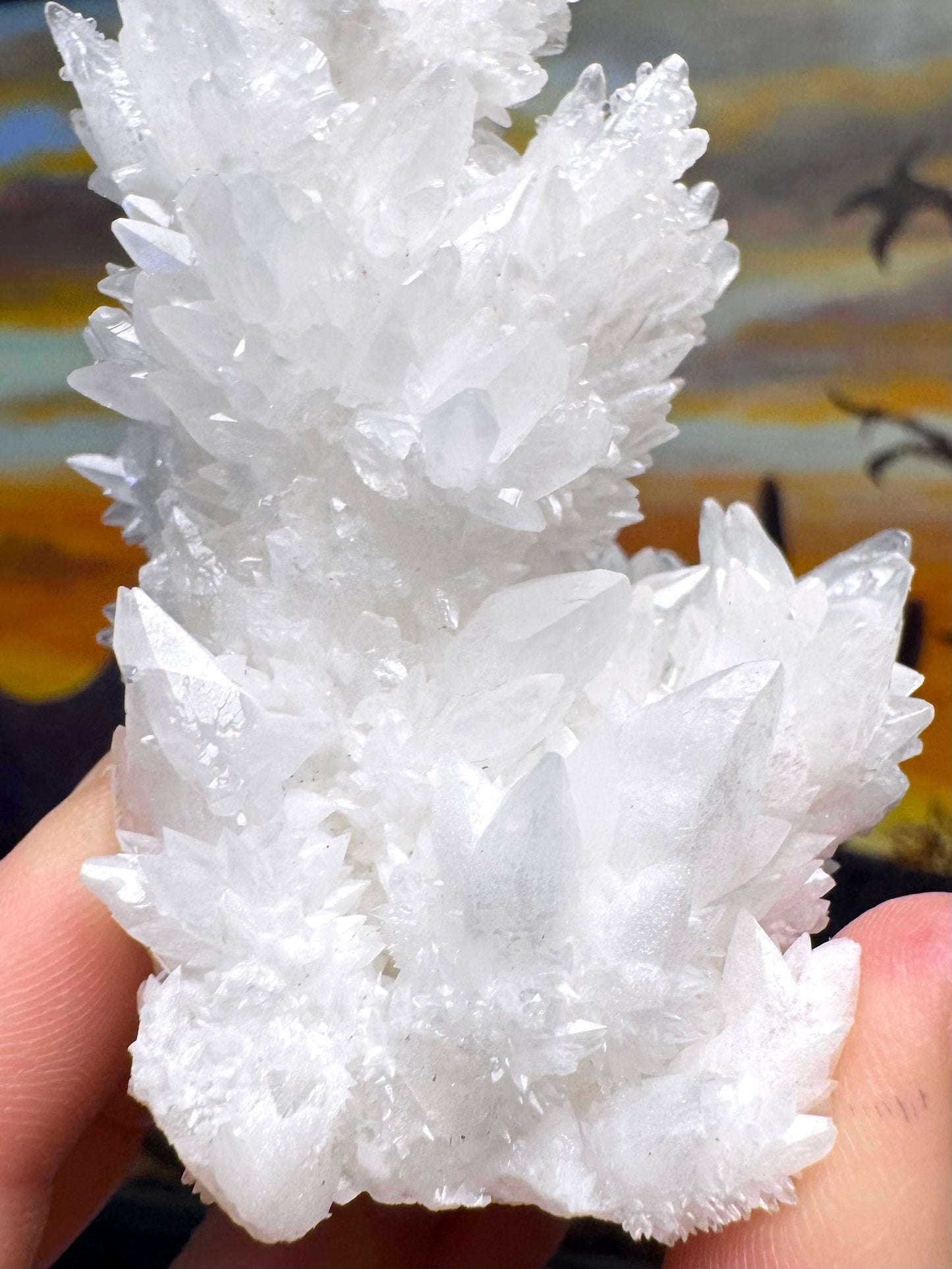 Aragonite stalactite "cave calcite," Santa Eulalia (medium)