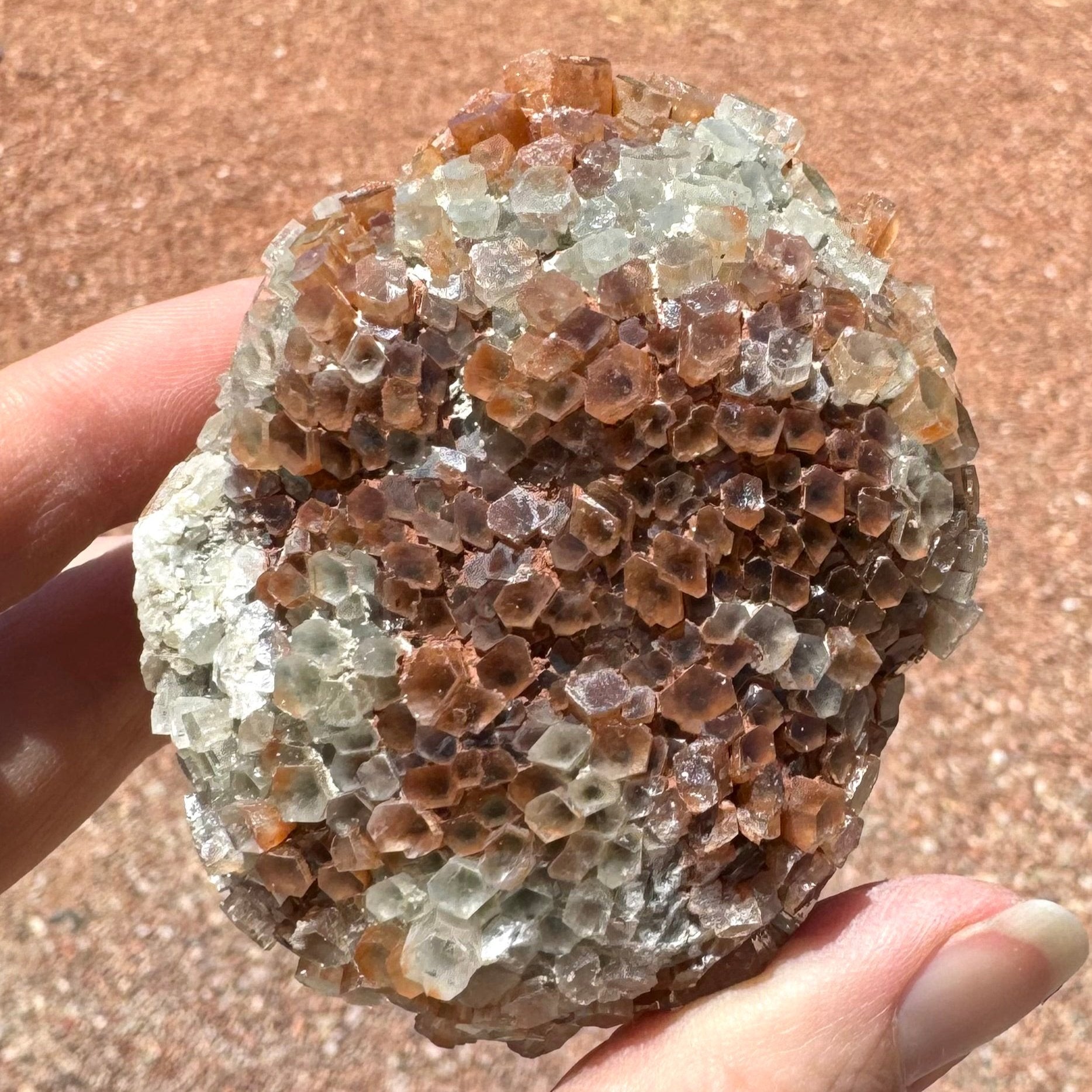 An oval sputnik aragonite covered with short small crystals, flattened pseudo-hexagonal shapes like diamonds. The piece is mostly red-brown with patches of white crystals at the top and bottom. There is a patch of white opaque mineral on the left side.