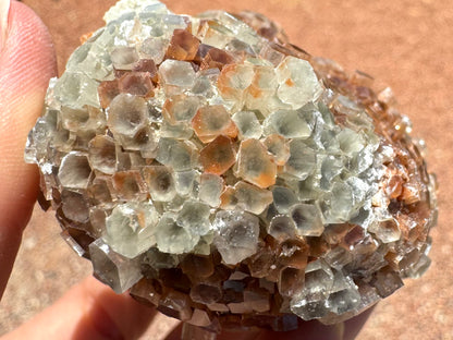 Detail of the surface of one end of the piece, mostly covered in white crystals with some red -brown and bicolor crystals. The piece has good translucency down into the crystals.