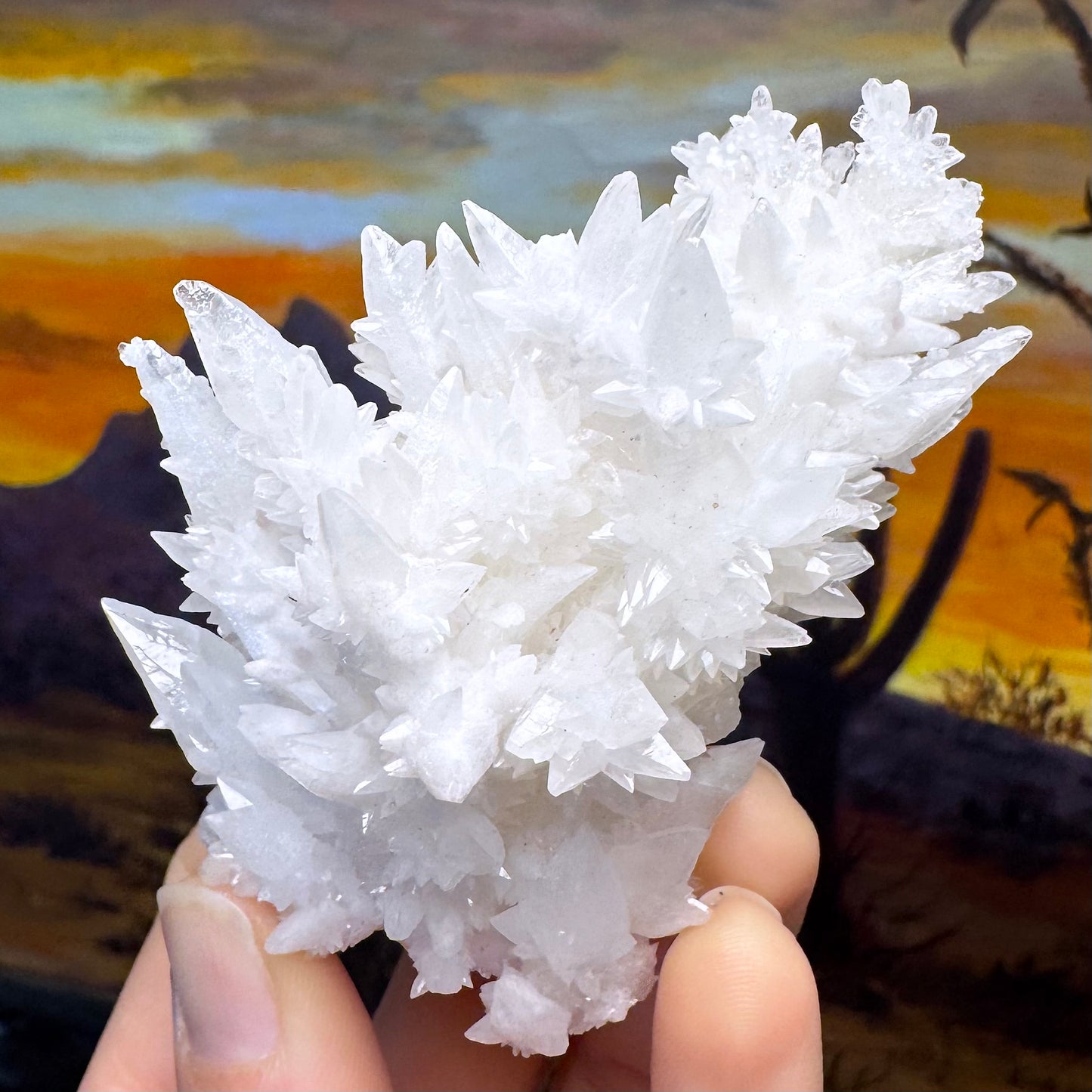 Aragonite stalactite "cave calcite," Santa Eulalia (medium)