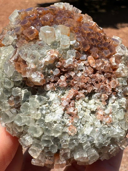 Detail view of a patch of small white and red crystals that have been broken, surrounded by larger crystals with good translucency.