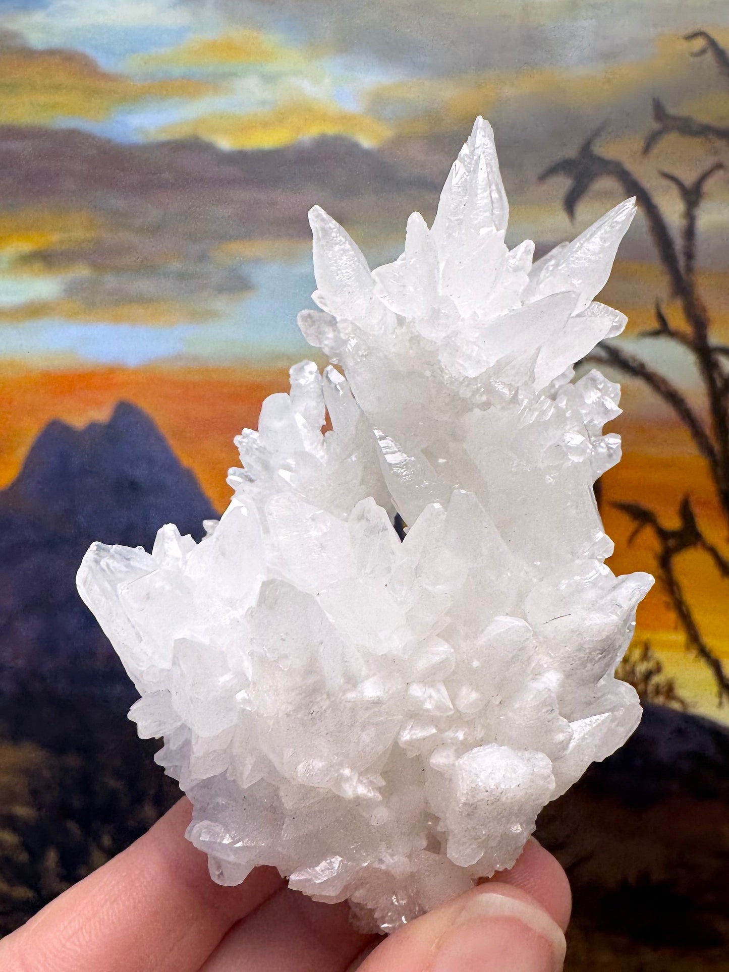 Aragonite stalactite "cave calcite," Santa Eulalia (medium)