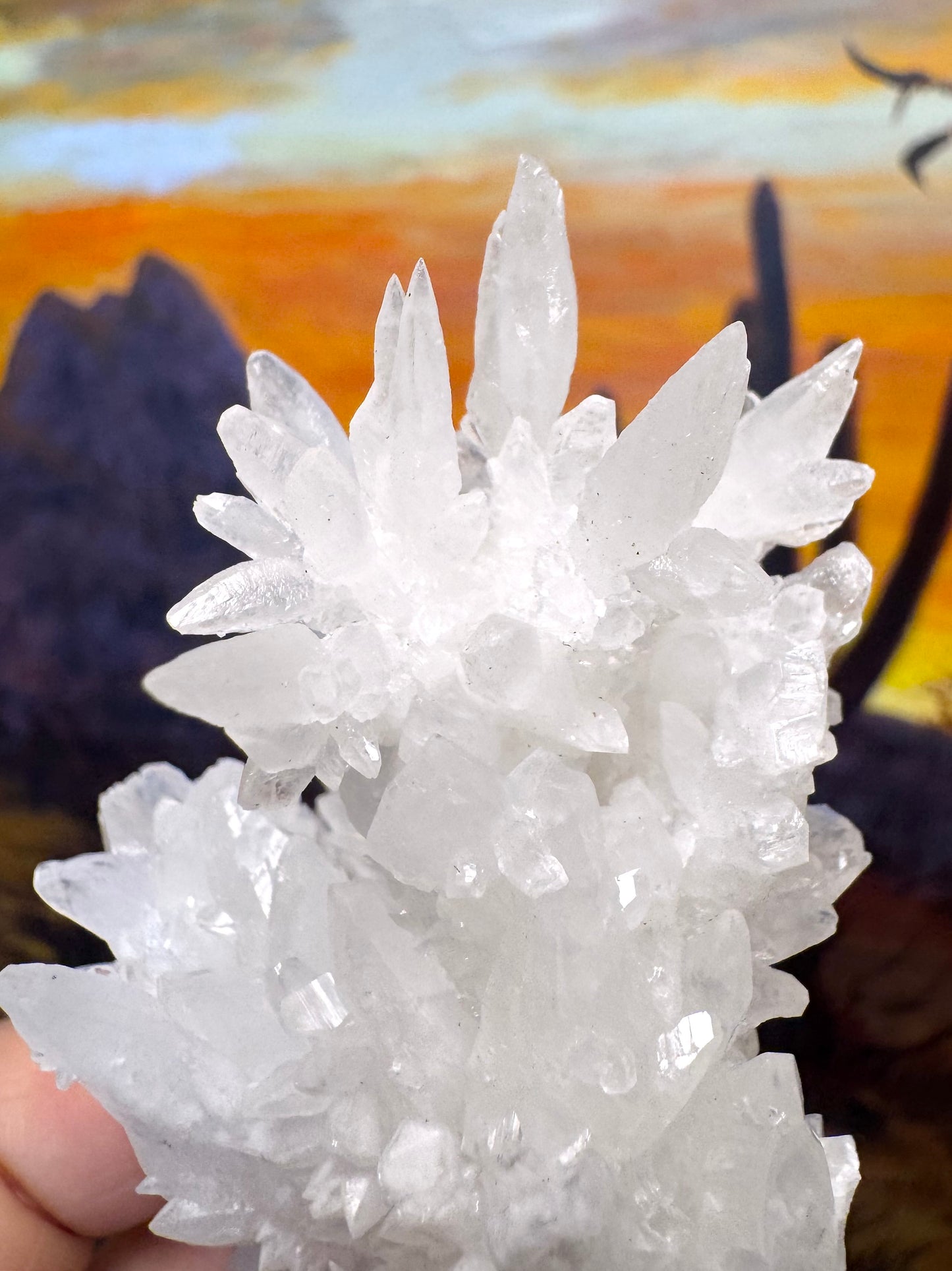 Aragonite stalactite "cave calcite," Santa Eulalia (medium)