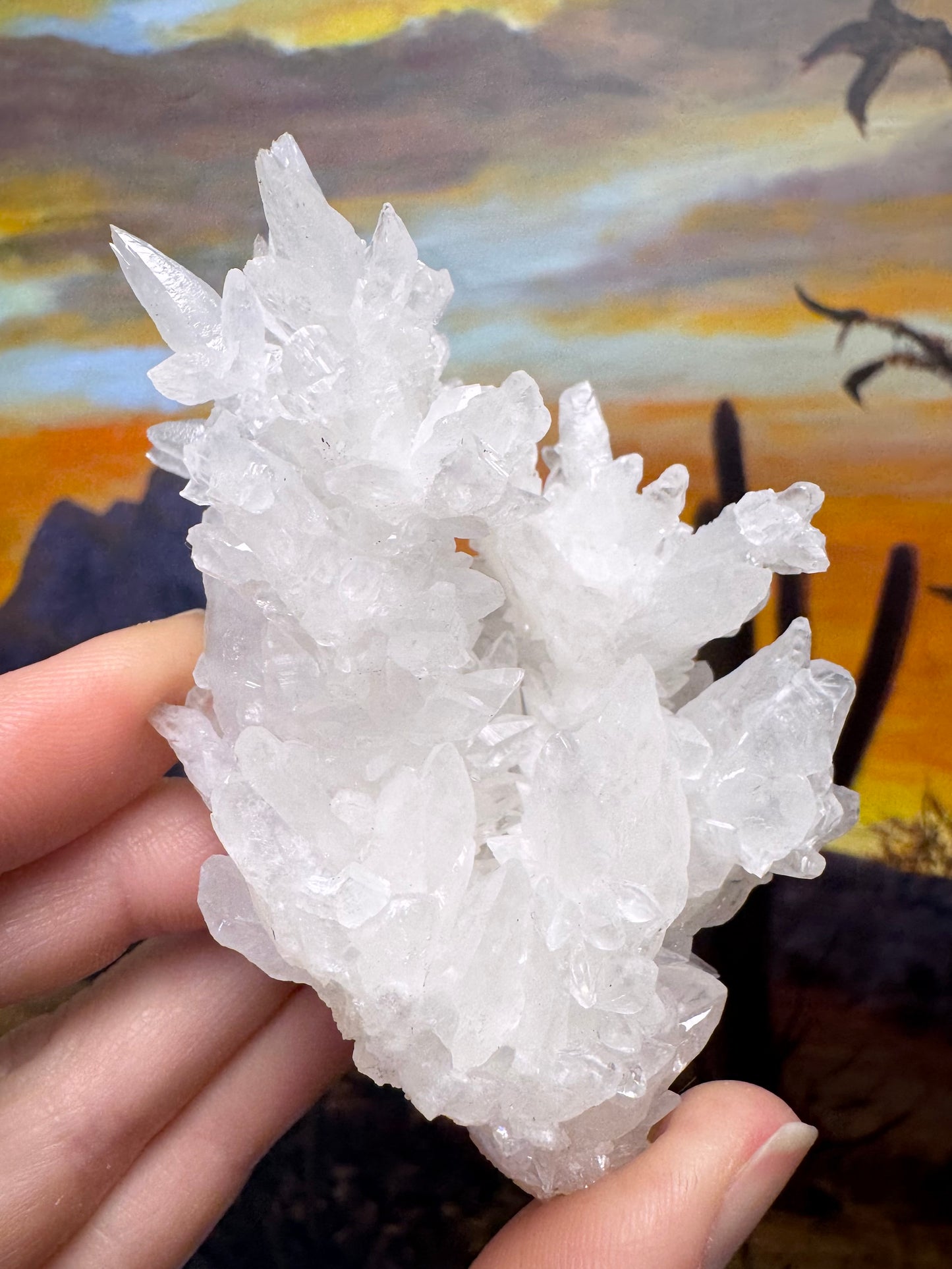Aragonite stalactite "cave calcite," Santa Eulalia (medium)