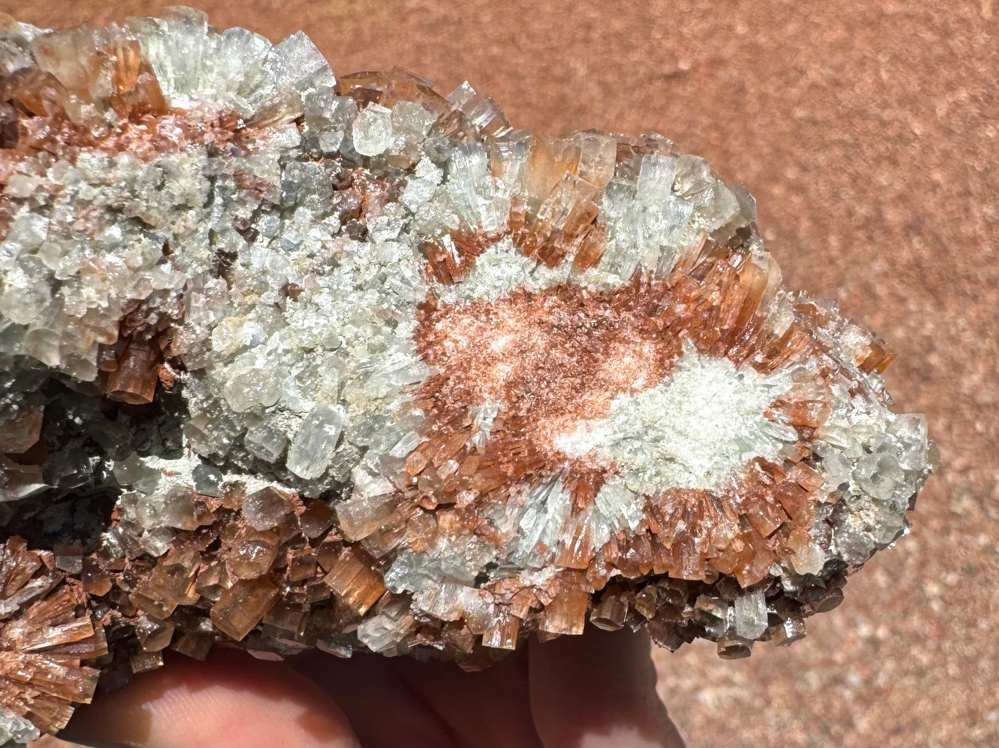 Detail of a flat broken end of the piece, showing an excellent cross-section of the radial growth pattern of the red and white sputnik crystals. It reveals some crystals are red near the base then turn white.