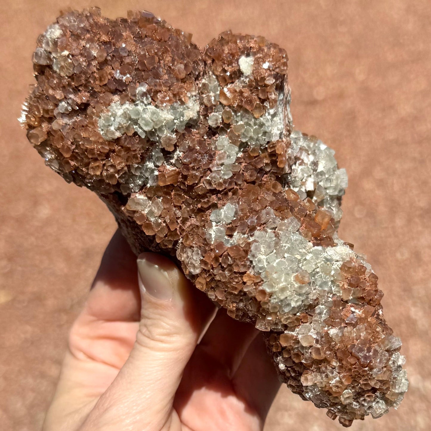 A long tapered piece of sputnik aragonite composed of rounded lumpy forms. The crystals are small and short, tightly packed like tiles. It has a mix of red-brown and white crystals, with and opaque white mineral visible between some crystals.