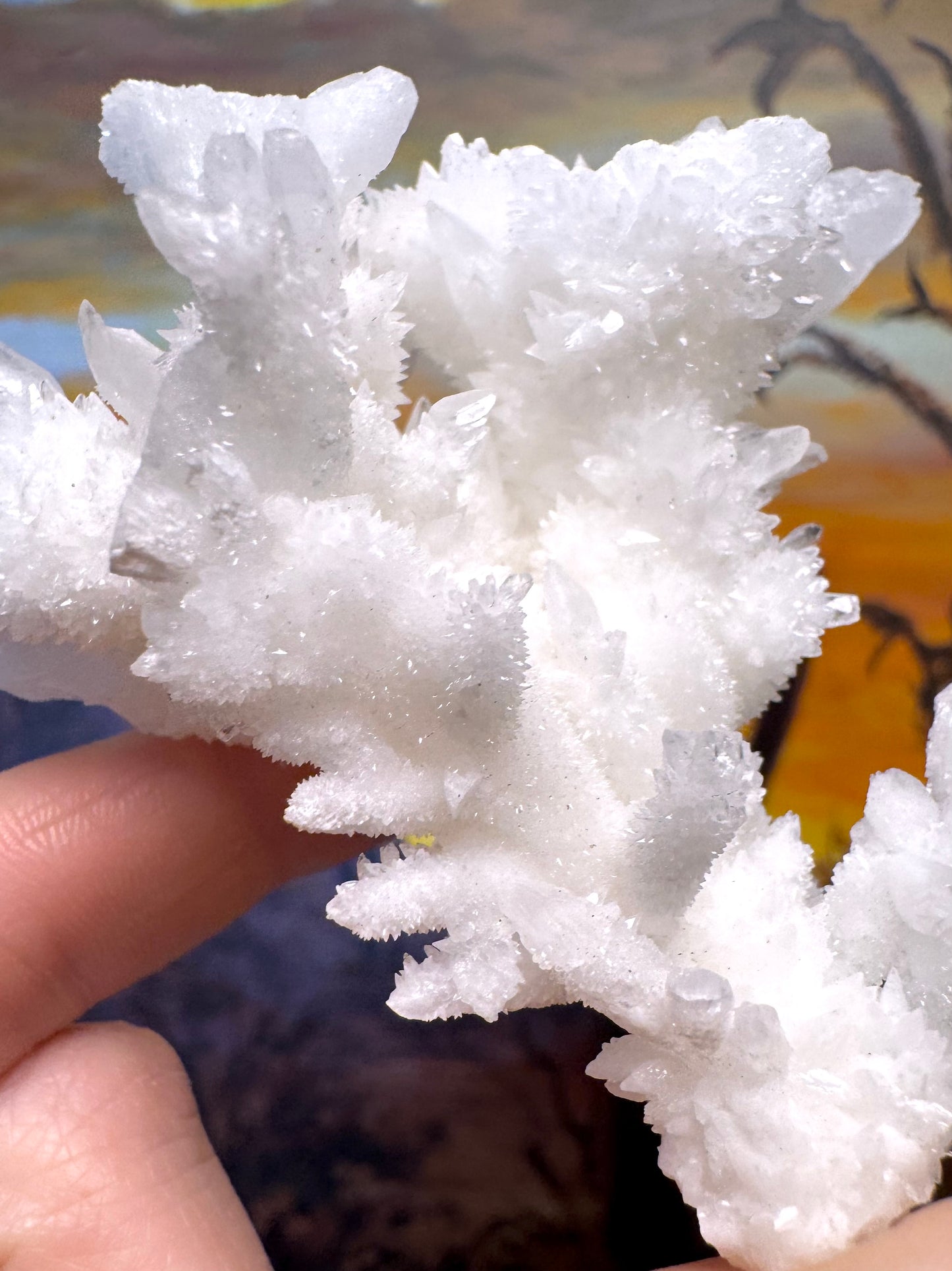 Aragonite stalactite "cave calcite," Santa Eulalia (medium)