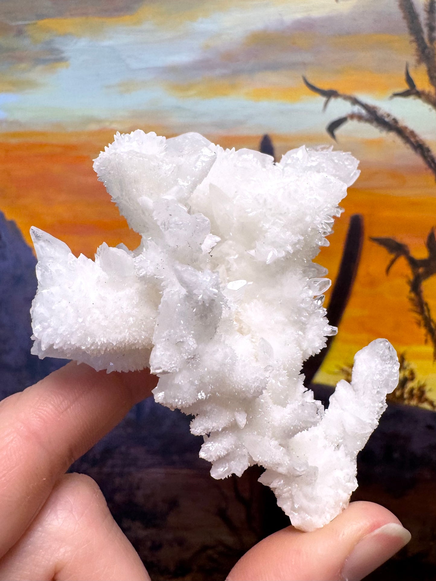 Aragonite stalactite "cave calcite," Santa Eulalia (medium)