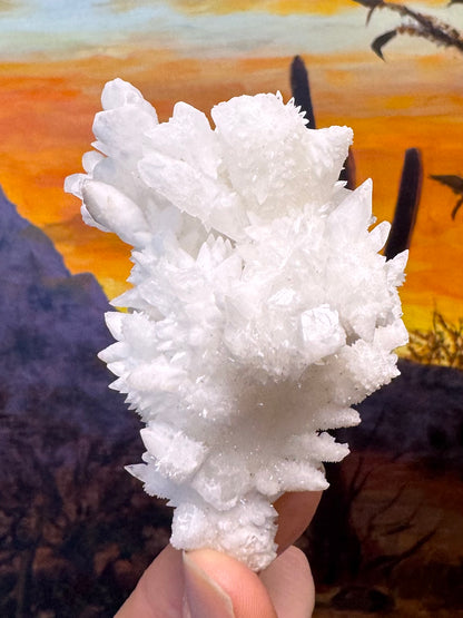 Aragonite stalactite "cave calcite," Santa Eulalia (medium)