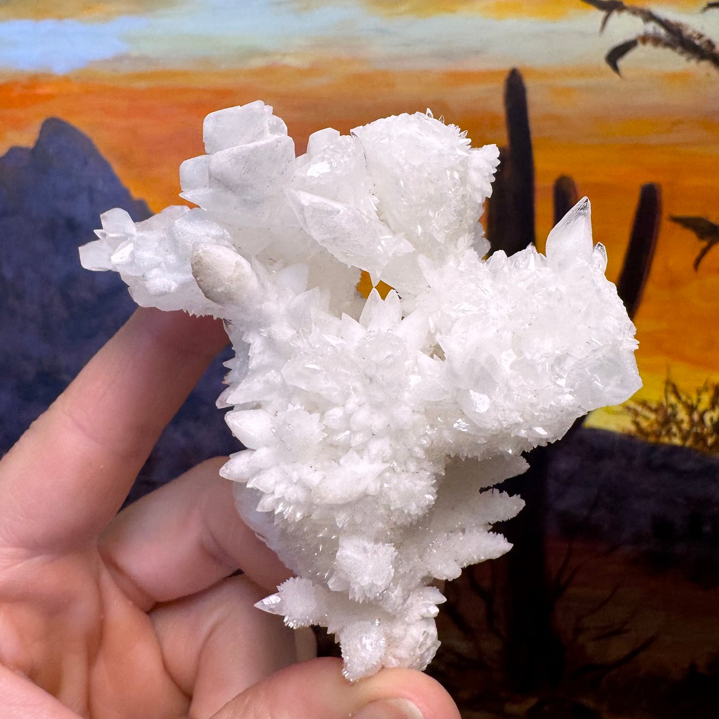 Aragonite stalactite "cave calcite," Santa Eulalia (medium)