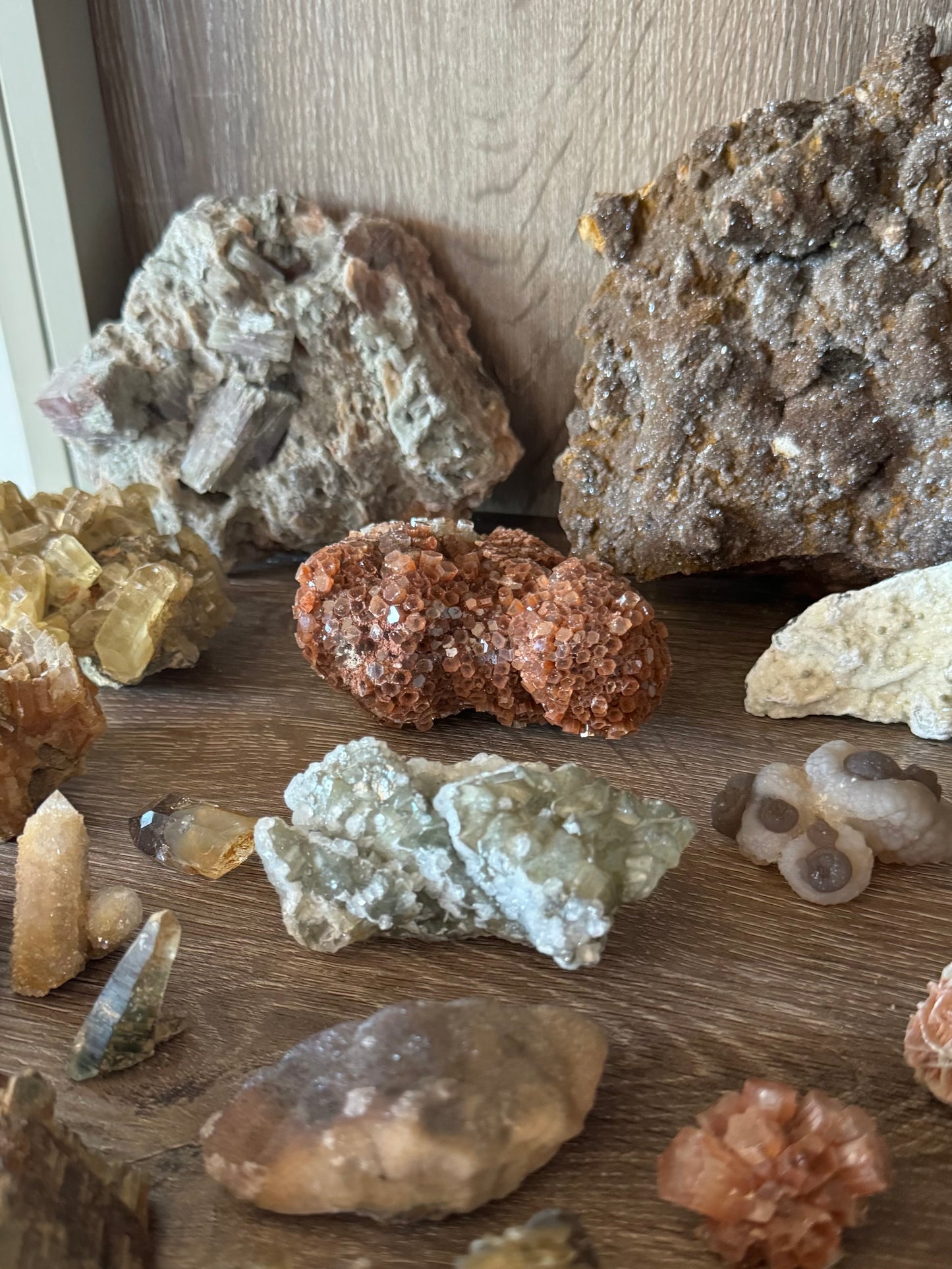 The piece on a mineral shelf, showing it is relatively vibrant red-brown with good luster.