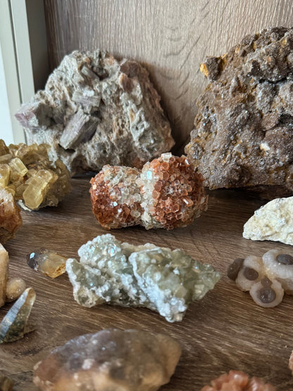 The piece on a mineral shelf, showing its relatively vibrant red-brown color and good luster.