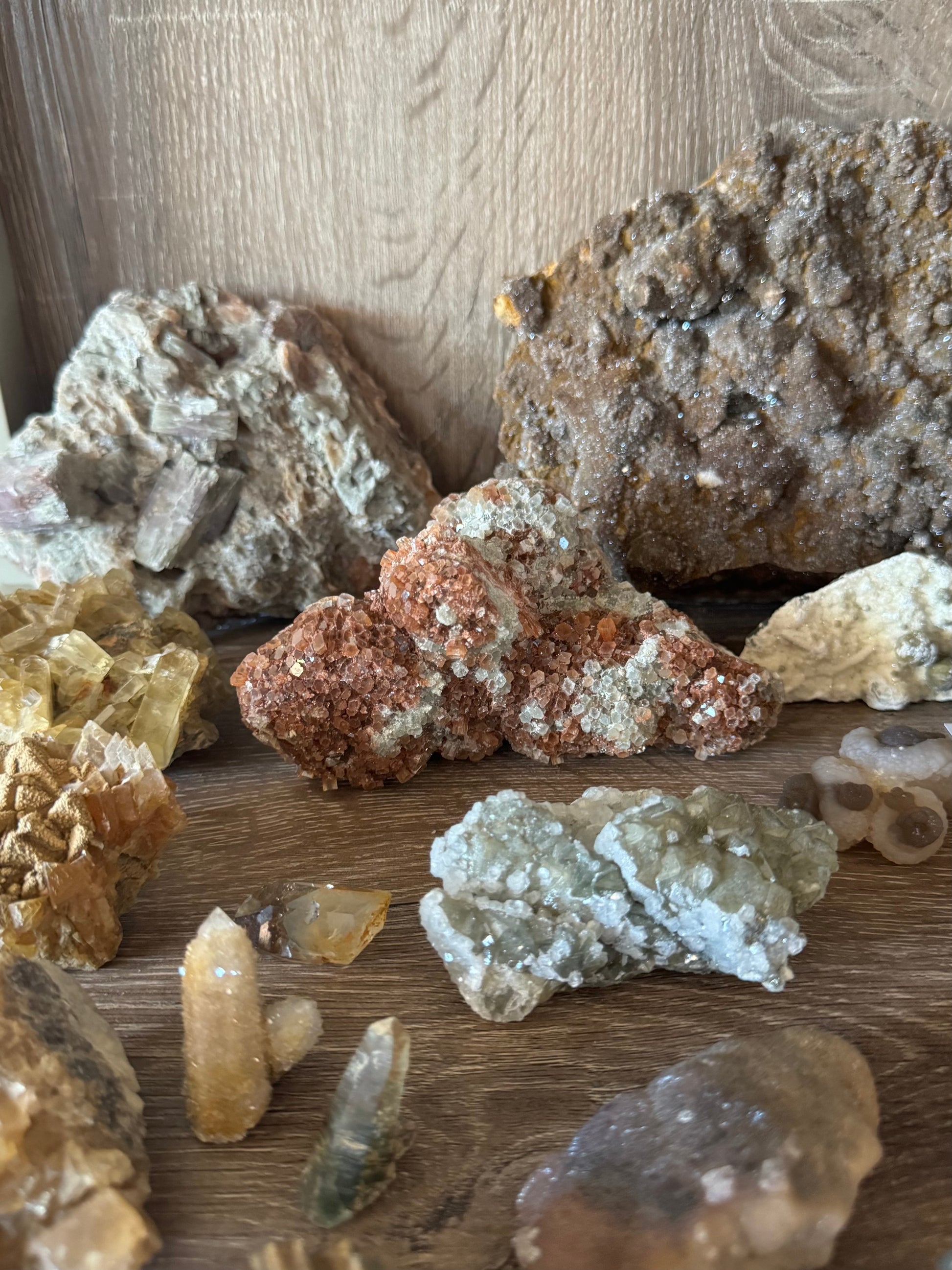 The piece on a mineral shelf, showing it is relatively vibrant red-brown with good luster.