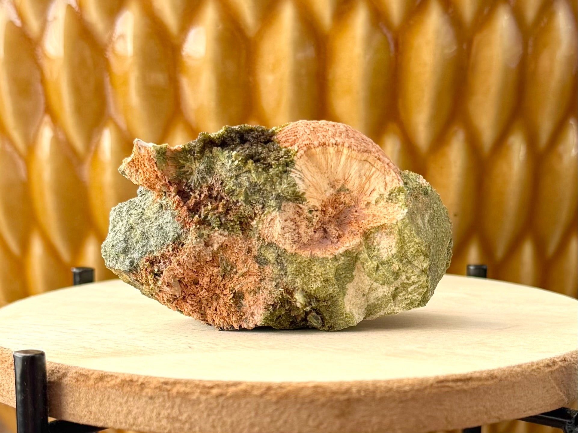 The bottom of the specimen,  a broken surface of grainy rock matrix of light gray and green. The sphere is broken in cross-section, with some epidote with radial patterns to the left.