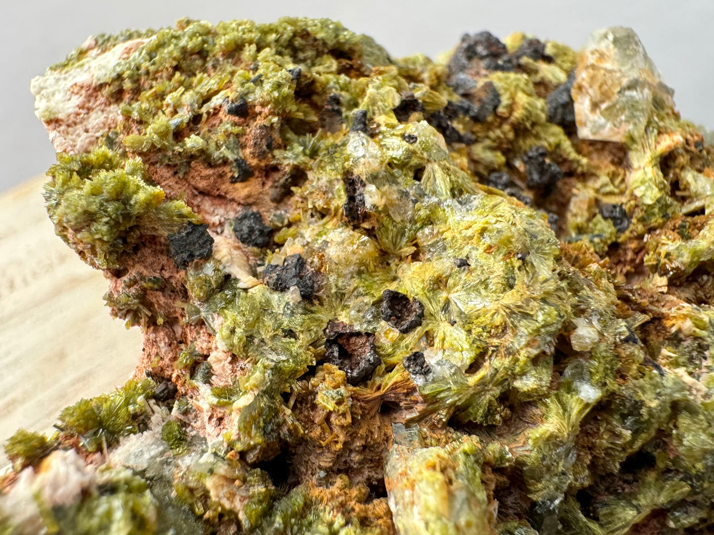 Detail of fair-quality epidote sprays, with radial pattern apparent but not well-formed or saturated green. There are hollow bowl-like magnetite formations.