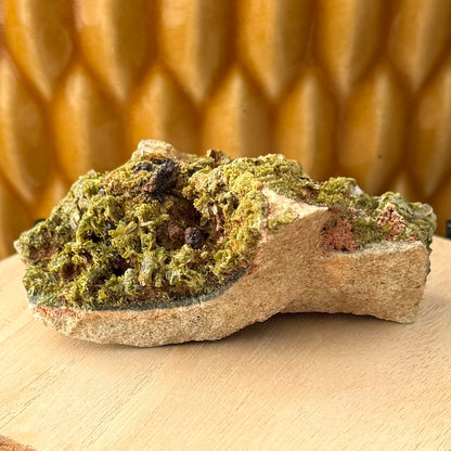 Side-view of the specimen, a layer of grainy pale matrix covered with a layer of epidote and magnetite.