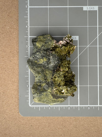 Scale image of the specimen on a measuring mat, measuring about three and a quarter inches long by a bit under two inches wide.