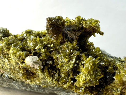 Detail of an excellent bow tie formation of epidote surrounded by individual crystals, with a small irregular piece of quartz.