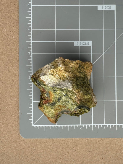 Scale image of the specimen on a measuring mat, measuring about two and a half inches wide by a bit under two inches tall.