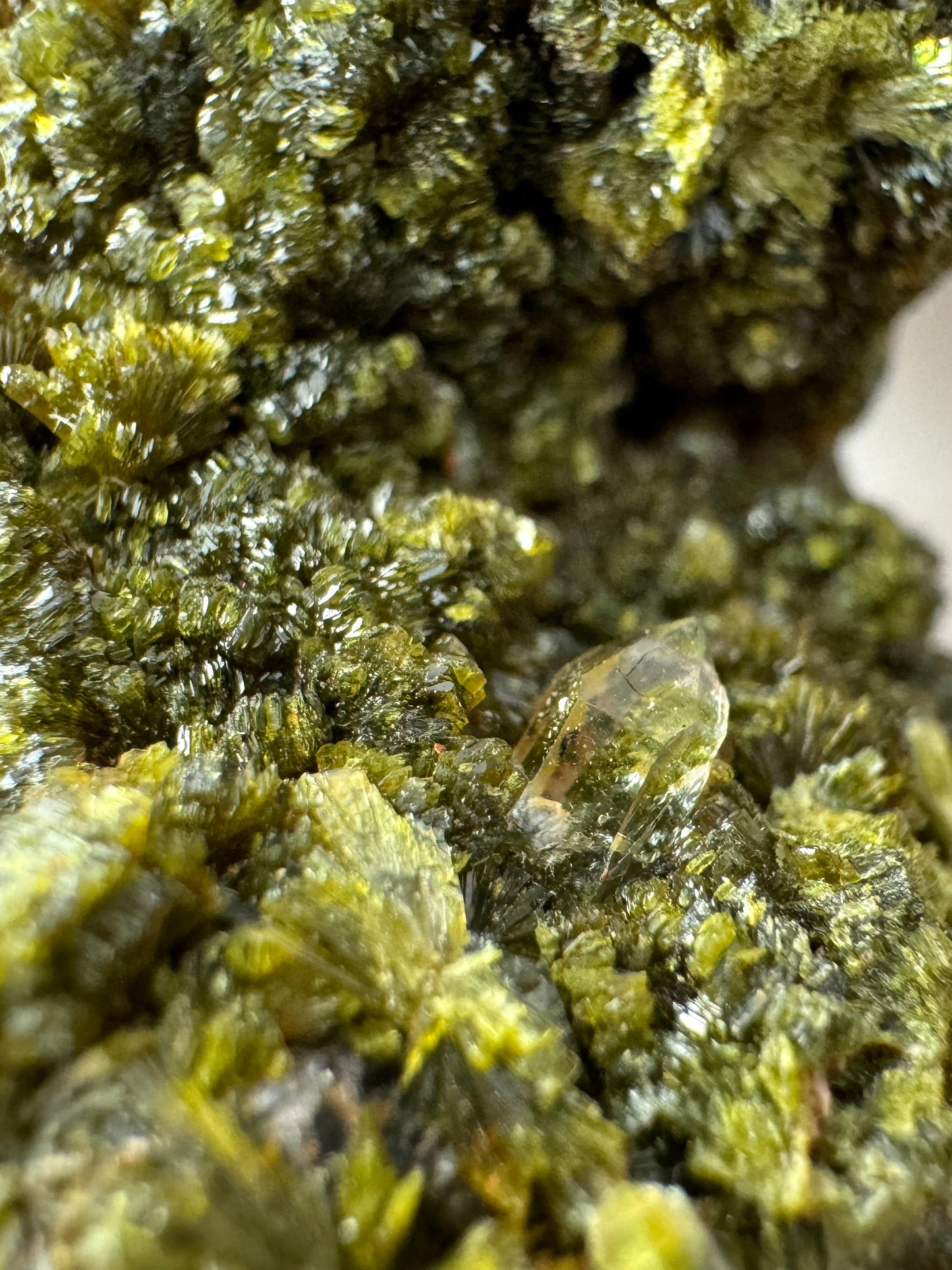 Detail of a small clear quartz point in dark olive-green epidote, with epidote crystals in stacked and fanning formations