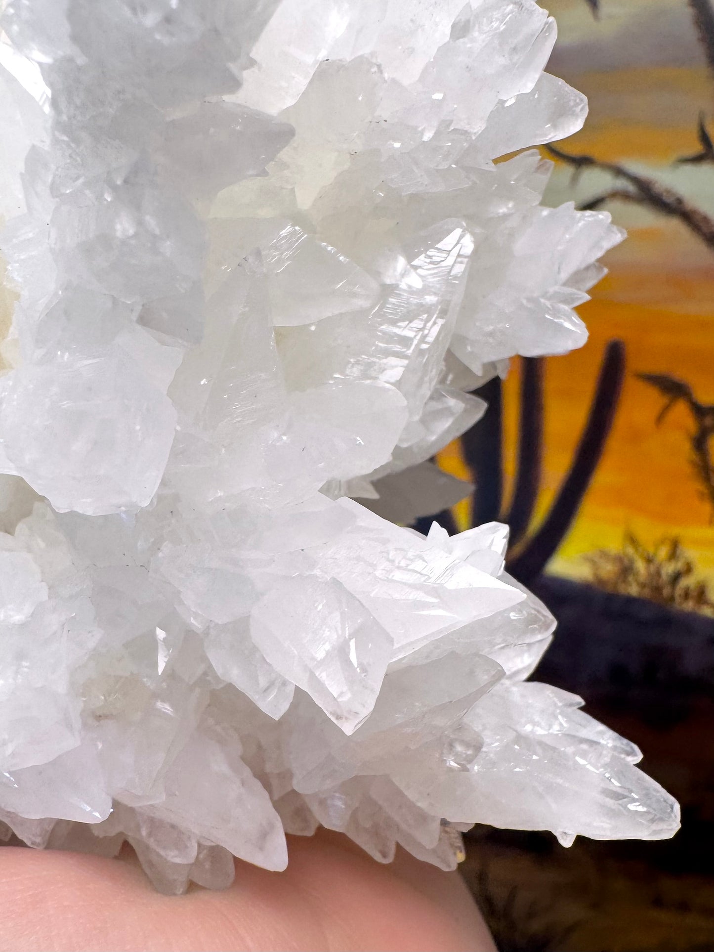 Aragonite stalactite "cave calcite," Santa Eulalia (cabinet piece)