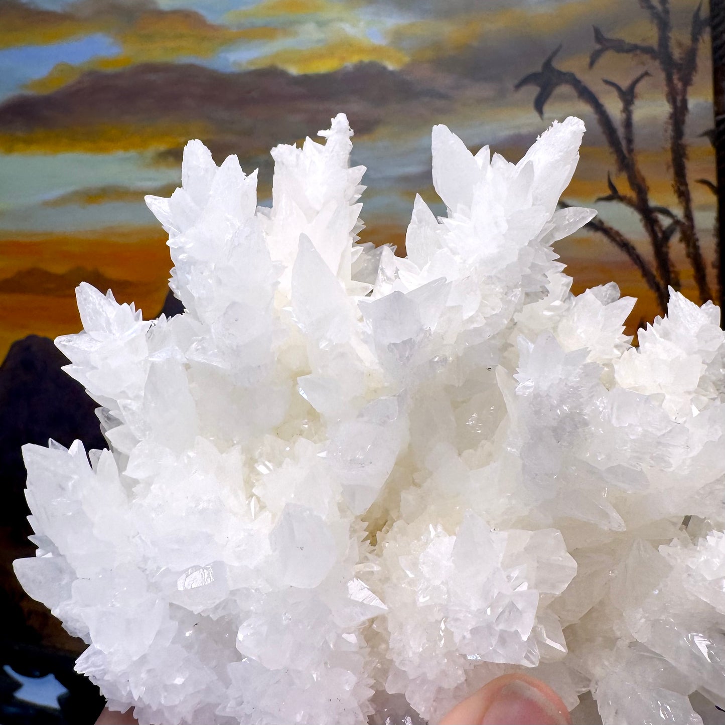 Aragonite stalactite "cave calcite," Santa Eulalia (cabinet piece)