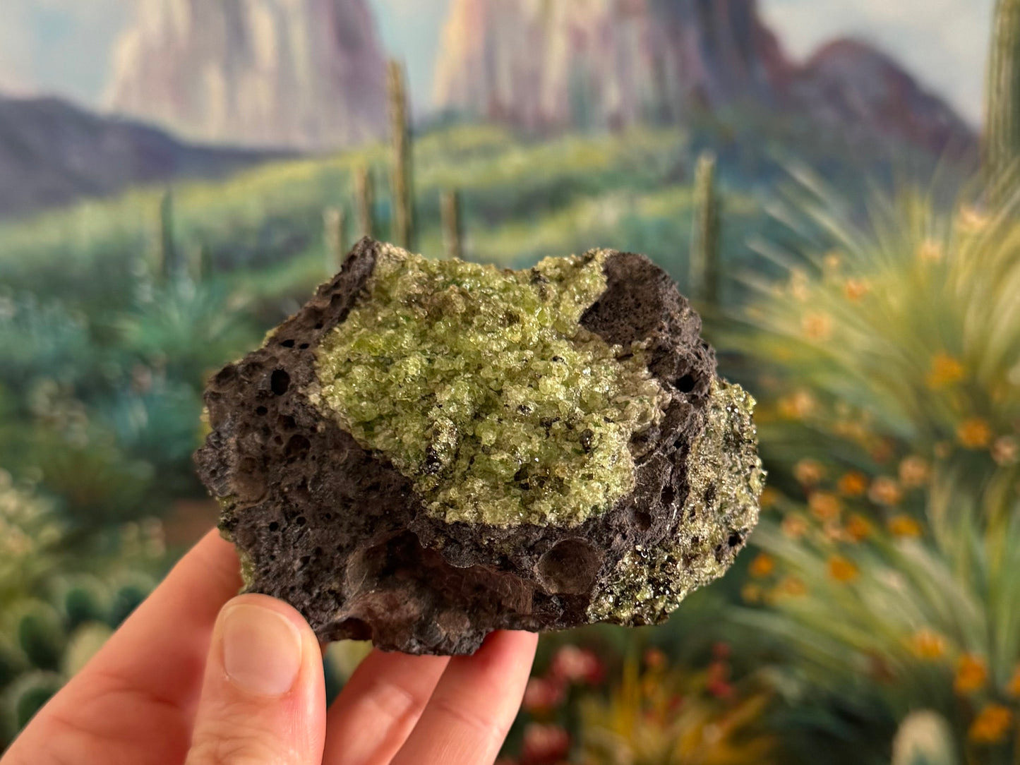 Side-view of the piece with peridotite on top and darker crystals on the right side. At the bottom are some large bubble holes in the volcanic rock.