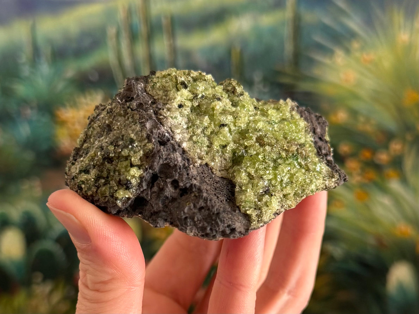 A rough flat chunk of dark gray porous volcanic basalt with a large patch of peridotite on top and a smaller patch with darker crystals on the left side.