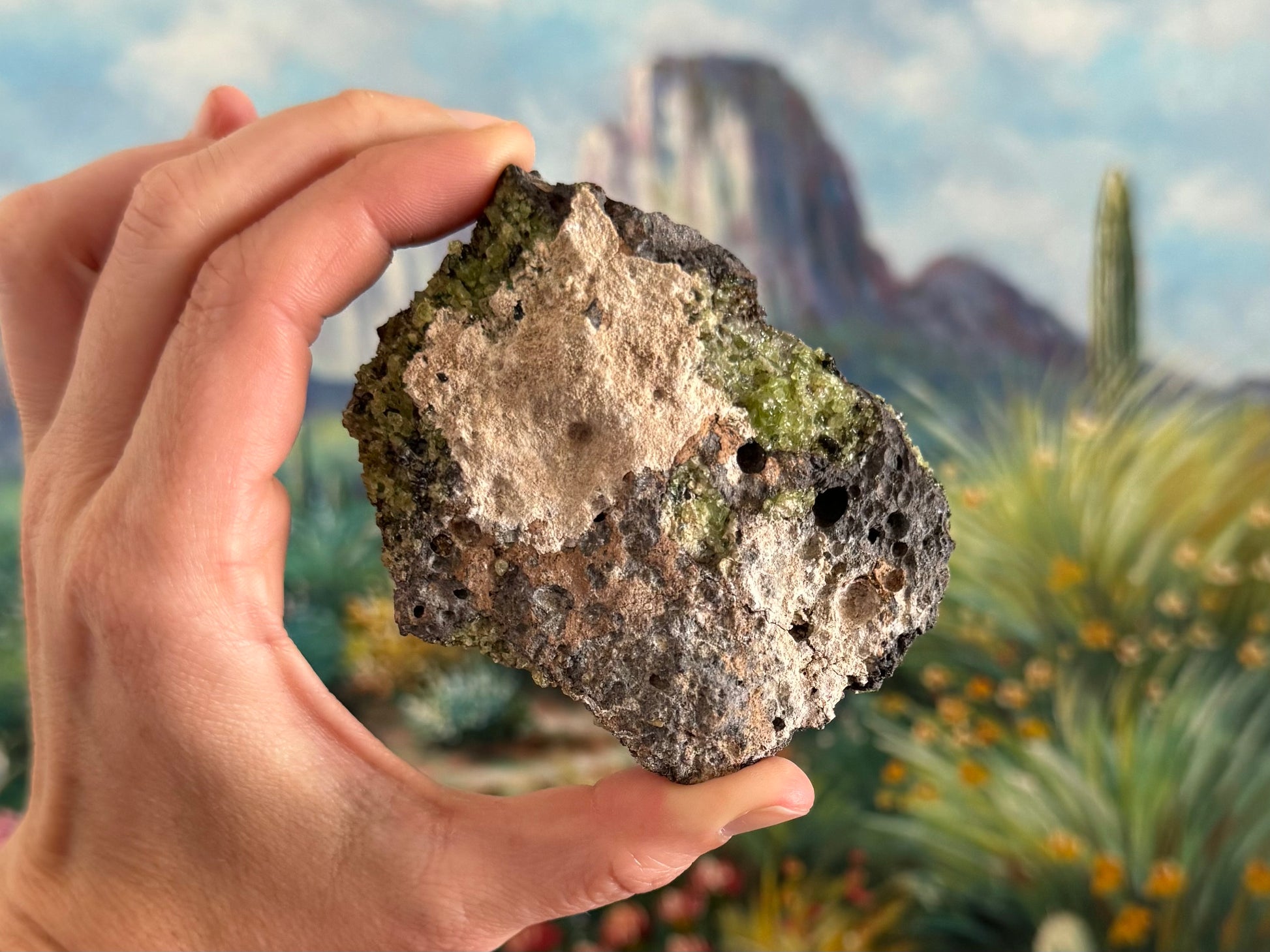 The back of the chunk, with some pockets of peridotite and partially covered in a light-colored rock.