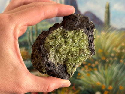 View of the top of the chunk with the largest section of peridotite the focus. It is a bumpy light yellow green with darker spots throughout.