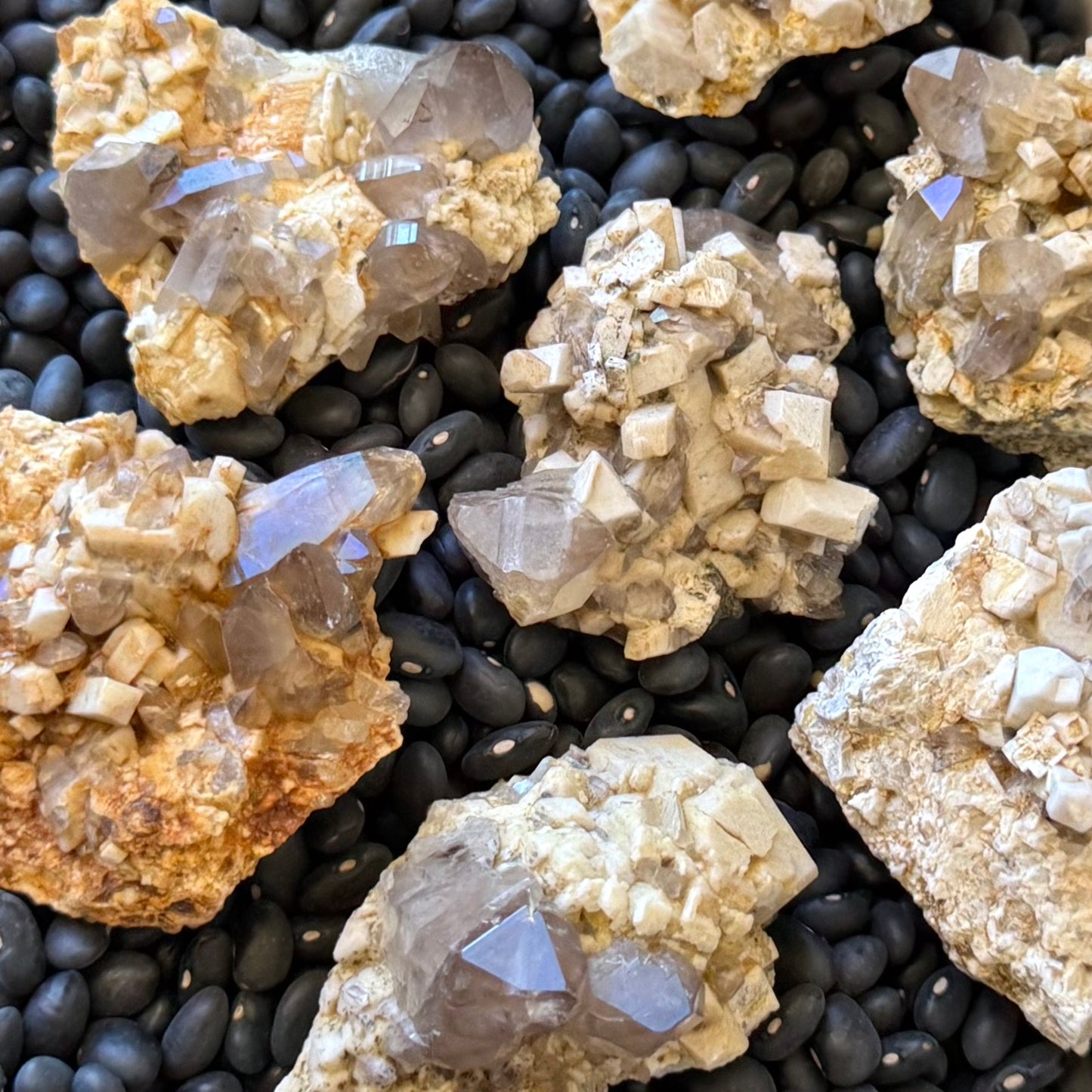 Several small specimens of microcline feldspar, opaque and near-white with blocky crystals, and with gray-tinted smoky quartz crystals among the feldspar. They are spread on a contrasting surface of black beans.