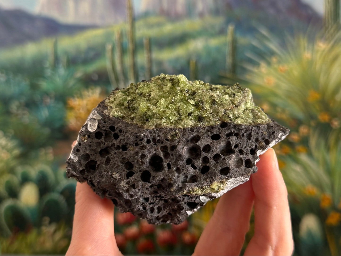 A rough irregular chunk of dark gray porous volcanic basalt with excellent large bubble holes. There is a patch of peridotite on top.