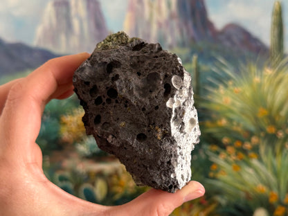 A side of the chunk that is all volcanic rock, with good bubble holes. The right side has a white coating.