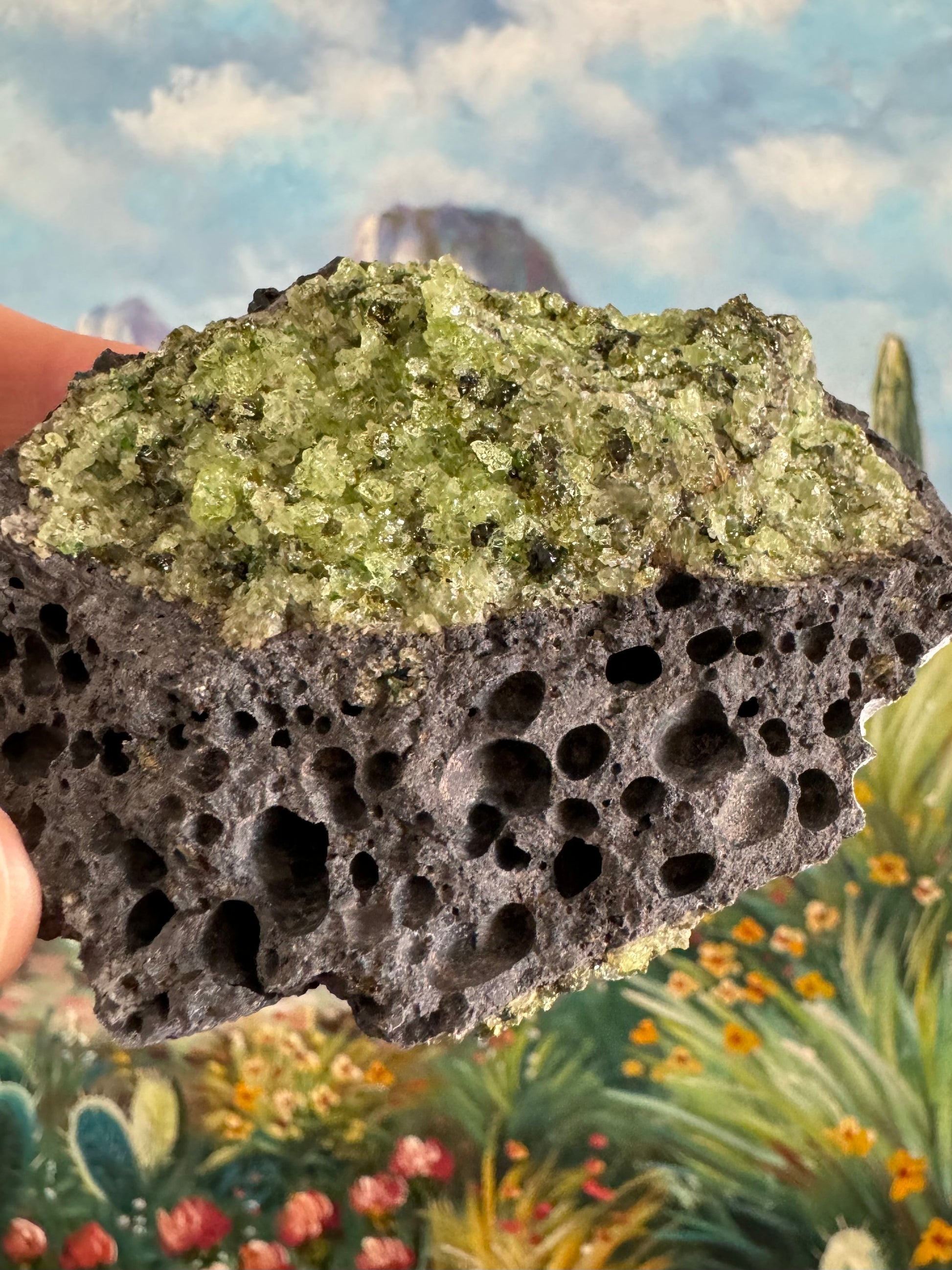 A side-view of the piece, with a patch of peridotite on top and nice bubble pattern in the volcanic rock below.