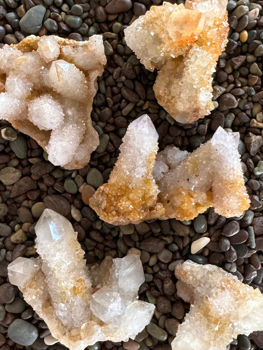 Several small pieces of cactus quartz spread out on a dark pebble background