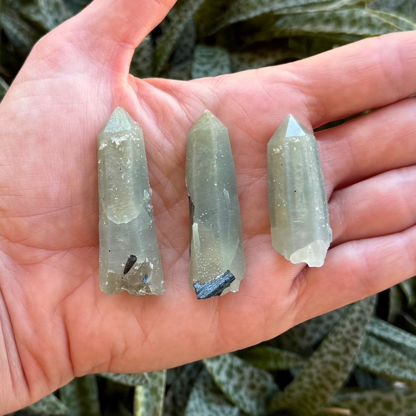 Three small quartz points spread out in a hand. They are all smaller than the width of the palm. They have a semi-opaque greenish-gray color.