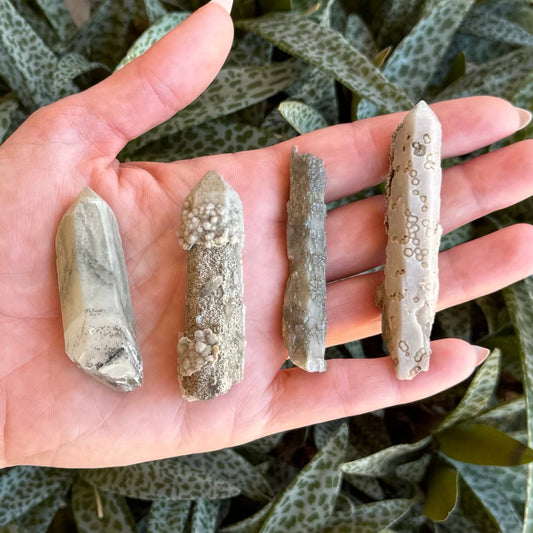 Four small quartz points spread out in a hand. They start shorter than the width of the palm with each subsequent point longer than the prior. They are all light and desaturated in color, off tan and grayish tints.