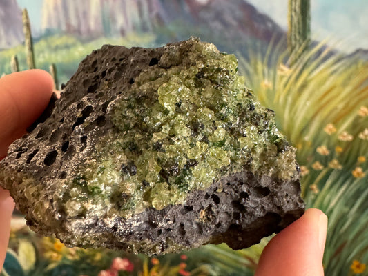 Detail of a piece of dark volcanic rock with a patch of gemmy green olivine, with the darker spinel and dipsode mixed in. The sides nearby have a white mineral dusting.